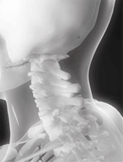 x-ray-neck